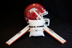 Helmet