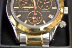 MG_6585a-e1350686677937